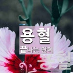 용혈로 끝나는 단어는? 11개