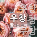 우창으로 끝나는 단어는? 3개