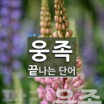 웅족으로 끝나는 단어는? 1개