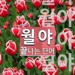 월야로 끝나는 단어는? 5개