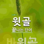 윗골로 끝나는 단어는? 1개