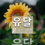 유달로 끝나는 단어는? 1개