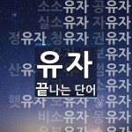 유자로 끝나는 단어는? 63개
