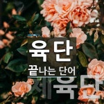 육단으로 끝나는 단어는? 3개