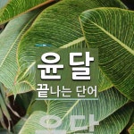 윤달로 끝나는 단어는? 2개