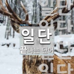 일단으로 끝나는 단어는? 5개