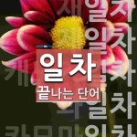 일차로 끝나는 단어는? 7개