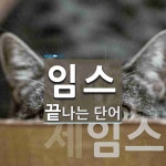 임스로 끝나는 단어는? 5개