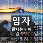 임자로 끝나는 단어는? 62개