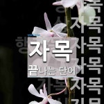 자목으로 끝나는 단어는? 13개