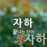 자하로 끝나는 단어는? 2개