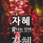 자혜로 끝나는 단어는? 1개