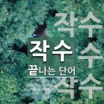 작수로 끝나는 단어는? 3개
