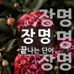 장명으로 끝나는 단어는? 3개