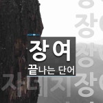 장여로 끝나는 단어는? 8개