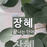장혜로 끝나는 단어는? 1개