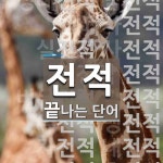 전적으로 끝나는 단어는? 28개