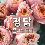 정닭 끝 단어