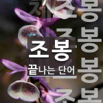 조봉으로 끝나는 단어는? 4개