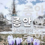 종안으로 끝나는 단어는? 3개