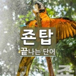 죤탑 끝 단어