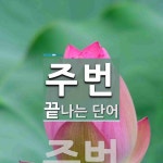주번으로 끝나는 단어는? 1개