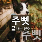 주삣으로 끝나는 단어는? 2개