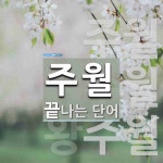 주월로 끝나는 단어는? 3개