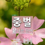 중벌로 끝나는 단어는? 1개