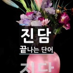 진담으로 끝나는 단어는? 2개