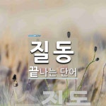 질동으로 끝나는 단어는? 1개