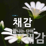 채감으로 끝나는 단어는? 2개