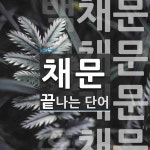 채문으로 끝나는 단어는? 4개