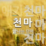 천마로 끝나는 단어는? 3개