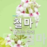 철마로 끝나는 단어는? 2개
