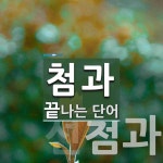 첨과로 끝나는 단어는? 2개