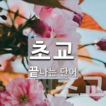 초교로 끝나는 단어는? 5개