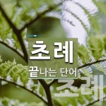 초례로 끝나는 단어는? 2개