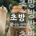 초방으로 끝나는 단어는? 4개