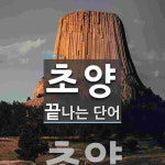 초양으로 끝나는 단어는? 1개