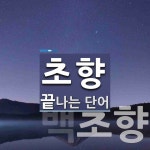 초향 끝 단어