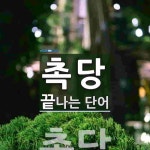 촉당으로 끝나는 단어는? 1개