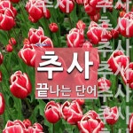 추사로 끝나는 단어는? 15개