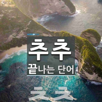 추추로 끝나는 단어는? 1개