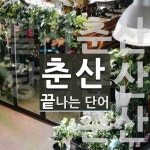 춘산으로 끝나는 단어는? 3개