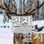 칠지로 끝나는 단어는? 2개