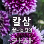 칼삼 끝 단어