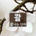 콸 끝 단어