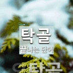 탁골로 끝나는 단어는? 1개