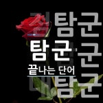 탐군으로 끝나는 단어는? 3개